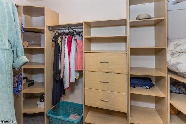 18 W Circuit Dr, Roxbury Twp, NJ 07876 - view of walk in closet