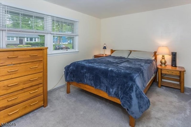 18 W Circuit Dr, Roxbury Twp, NJ 07876 - bedroom featuring light carpet