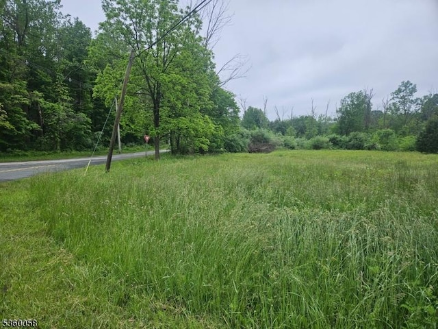 79 Green Pond Rd, White Twp, NJ 07823