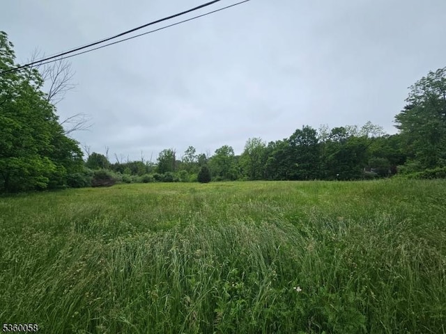 79 Green Pond Rd, White Twp, NJ 07823