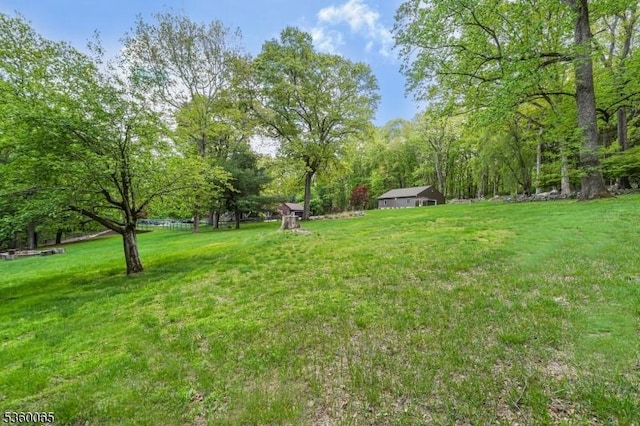 26 Danville Mountain Rd, Liberty Twp, NJ 07838 - view of green lawn