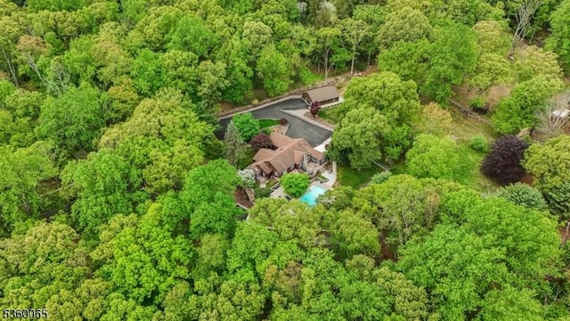 26 Danville Mountain Rd, Liberty Twp, NJ 07838 - view of property location featuring a heavily wooded area
