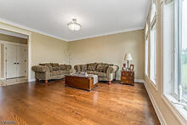 2 Kristina Way, Raritan Twp, NJ 08822 - living area featuring wood finished floors and crown molding