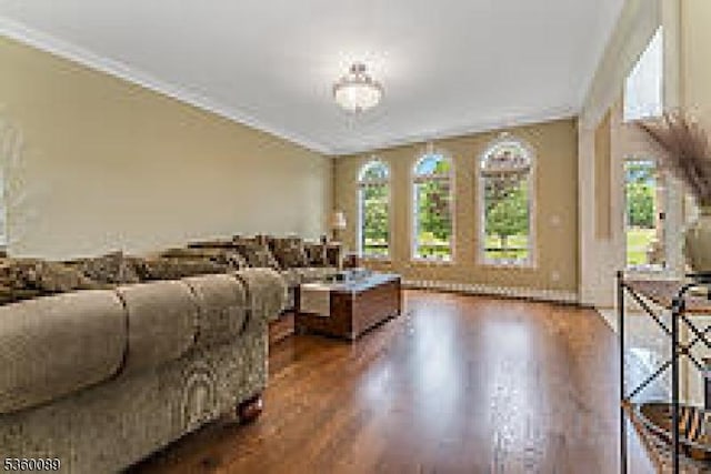 2 Kristina Way, Raritan Twp, NJ 08822 - living room featuring wood finished floors and ornamental molding