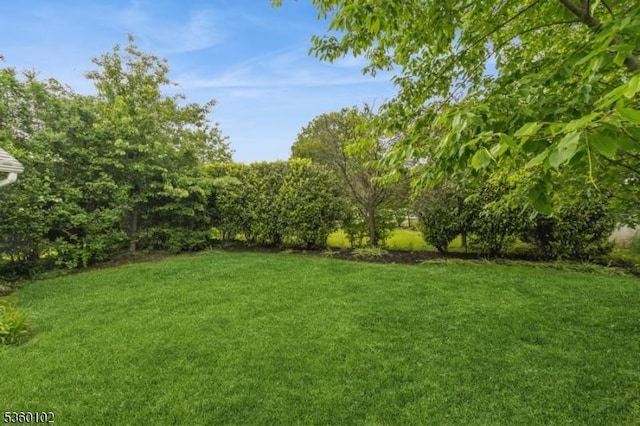 405 High St, Cranford Twp, NJ 07016 - view of grassy yard