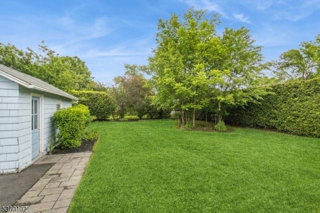405 High St, Cranford Twp, NJ 07016 - view of green lawn