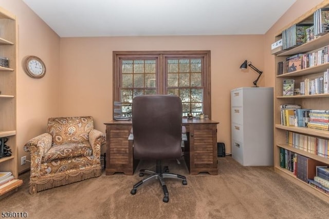 249 Good Springs Rd, Franklin Twp, NJ 08886 - home office featuring carpet floors