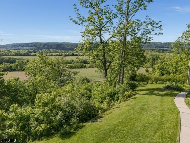 249 Good Springs Rd, Franklin Twp, NJ 08886 - view of green lawn featuring a wooded view