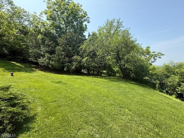 249 Good Springs Rd, Franklin Twp, NJ 08886 - view of green lawn