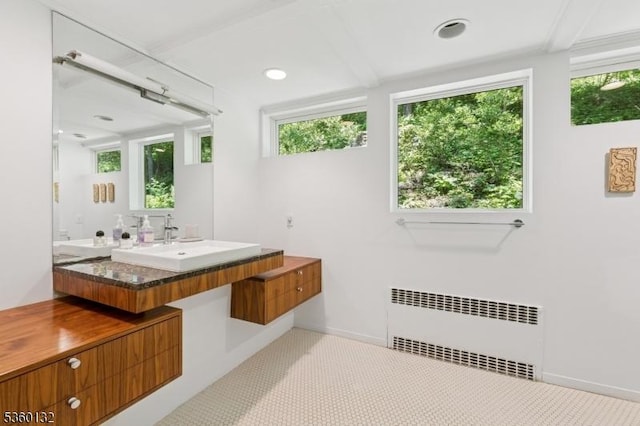 63 Hollow Brook Rd, Tewksbury Twp, NJ 07830 - bathroom featuring radiator, a sink, healthy amount of natural light, and baseboards