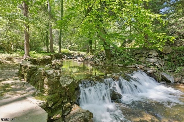 63 Hollow Brook Rd, Tewksbury Twp, NJ 07830 - view of local wilderness