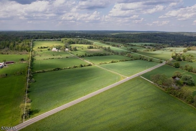 760 Rosemont Ringoes Rd, Delaware Twp, NJ 08559 - aerial view of sparsely populated area