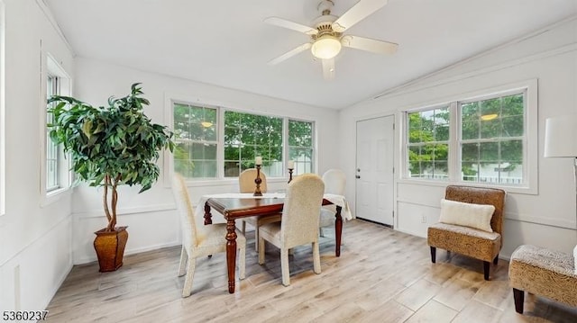 13 Prospect St, Metuchen Boro, NJ 08840 - dining room featuring vaulted ceiling, plenty of natural light, light wood finished floors, and ceiling fan