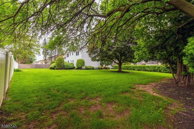 712 Kaminski Dr, Rahway City, NJ 07065 - view of yard