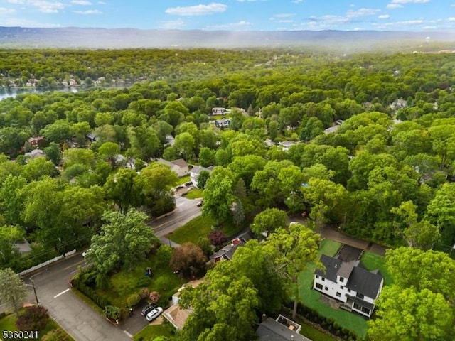 10 Wilson Ave, Wayne Twp, NJ 07470 - aerial view of a forest
