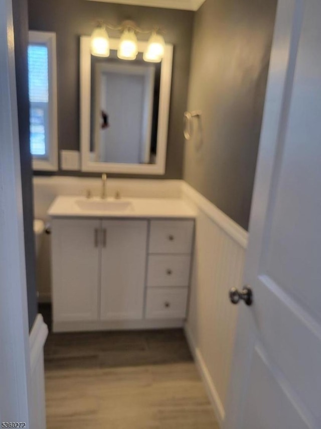131 Douglas Dr, Jackson Twp, NJ 08527 - bathroom with vanity, a wainscoted wall, wood finished floors, and a decorative wall