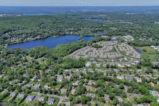 789 Charnwood Dr, Wyckoff Twp, NJ 07481 - bird's eye view of a forest and a large body of water
