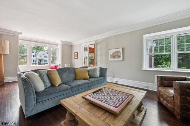 66 Fernwood Rd, Summit City, NJ 07901 - living room featuring crown molding and dark wood finished floors