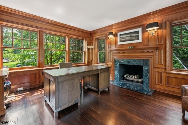66 Fernwood Rd, Summit City, NJ 07901 - home office featuring a premium fireplace, dark wood-style flooring, and wood walls