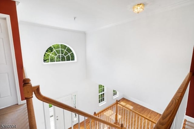 3 Spyglass Hl, Fredon Twp, NJ 07860 - staircase featuring crown molding and baseboards