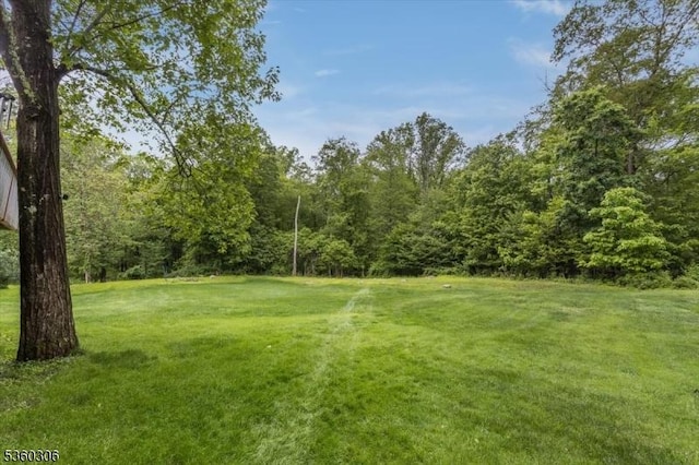 196 Sand Shore Rd, Mount Olive Twp, NJ 07828 - view of grassy yard with a forest view