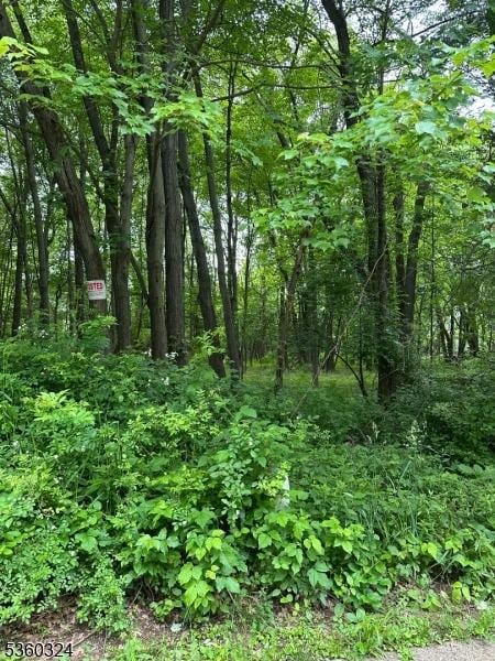 35 Grassman Pl, Berkeley Heights Twp, NJ 07922