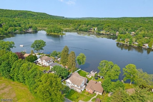 111 Lake Dr, Byram Twp, NJ 07874 - drone / aerial view of a heavily wooded area and a nearby body of water