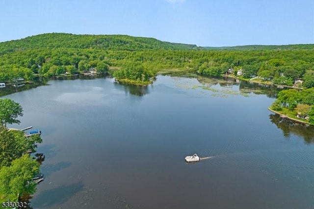 111 Lake Dr, Byram Twp, NJ 07874 - water view with a forest