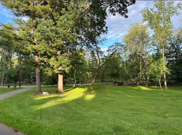 185 Wilmore Rd, Little Falls Twp, NJ 07424