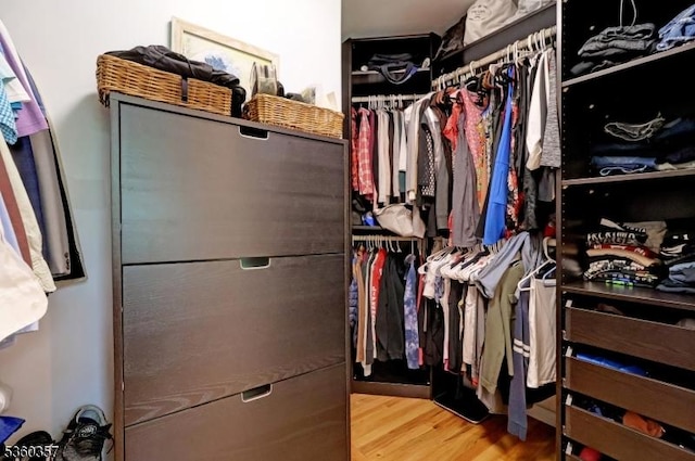 17 Druid Hill Dr, Parsippany-Troy Hills Twp, NJ 07054 - walk in closet with wood finished floors