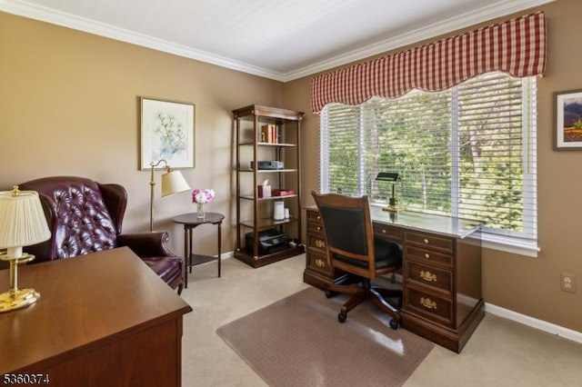 17 Steeple Chase Ct, Bedminster Twp, NJ 07921 - office featuring carpet floors, plenty of natural light, crown molding, and baseboards
