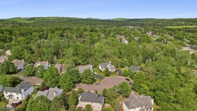17 Steeple Chase Ct, Bedminster Twp, NJ 07921 - aerial overview of property's location featuring a heavily wooded area and nearby suburban area