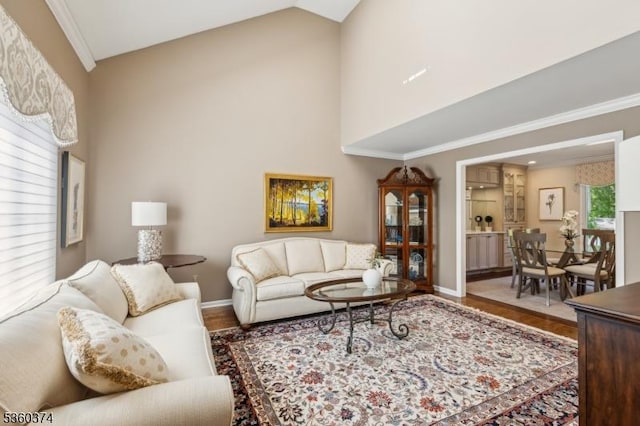 17 Steeple Chase Ct, Bedminster Twp, NJ 07921 - living area featuring wood finished floors, baseboards, high vaulted ceiling, and crown molding