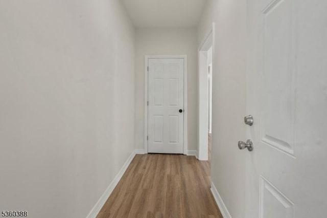 261 22nd St, Irvington Twp, NJ 07111 - corridor with light wood-style floors and baseboards