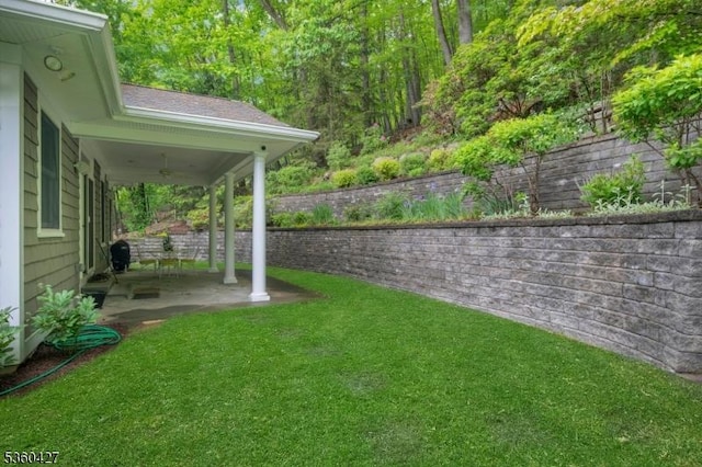 151 Hurd St, Mine Hill Twp, NJ 07803 - view of yard with ceiling fan and a patio
