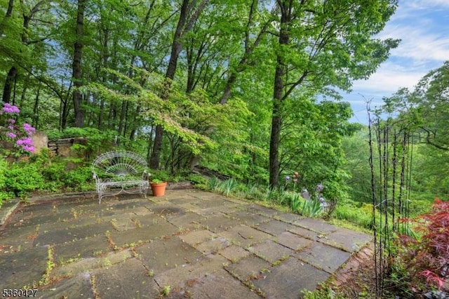 151 Hurd St, Mine Hill Twp, NJ 07803 - view of patio / terrace