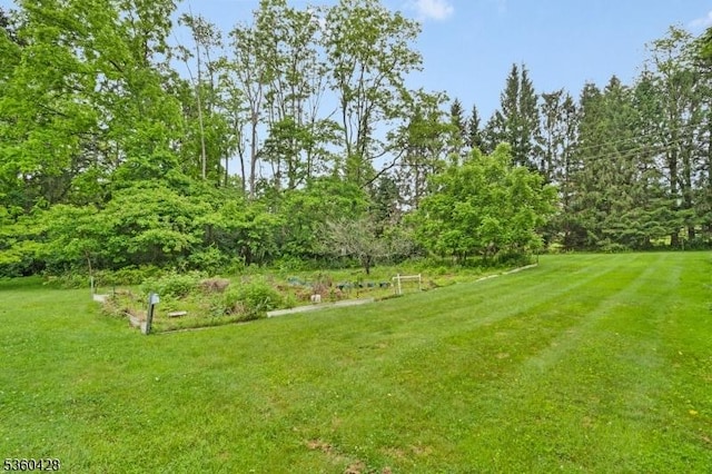6 Evergreen Pl, Washington Twp, NJ 07840 - view of grassy yard