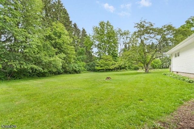 6 Evergreen Pl, Washington Twp, NJ 07840 - view of grassy yard