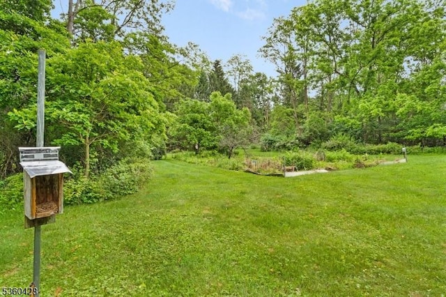 6 Evergreen Pl, Washington Twp, NJ 07840 - view of grassy yard featuring a wooded view
