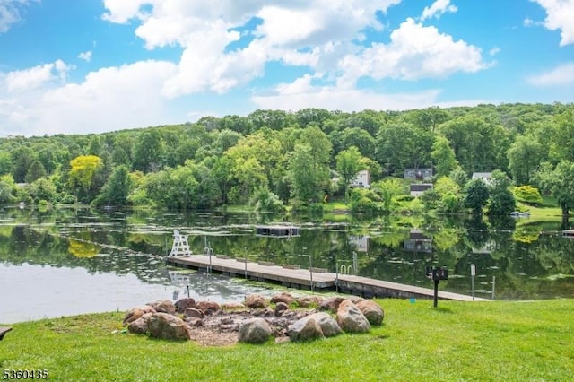 110 Shore Rd, Green Twp, NJ 07821 - view of community with a boat dock, a water view, and a wooded view