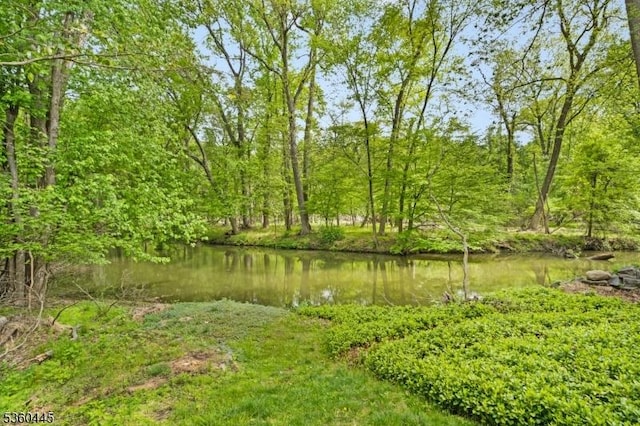 624 New St, River Vale Twp, NJ 07675 - view of yard