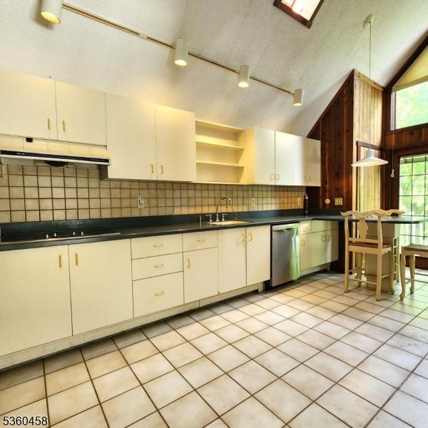 161 Neilson Rd, Wantage Twp, NJ 07461 - kitchen with stainless steel dishwasher, under cabinet range hood, dark countertops, stovetop, and backsplash