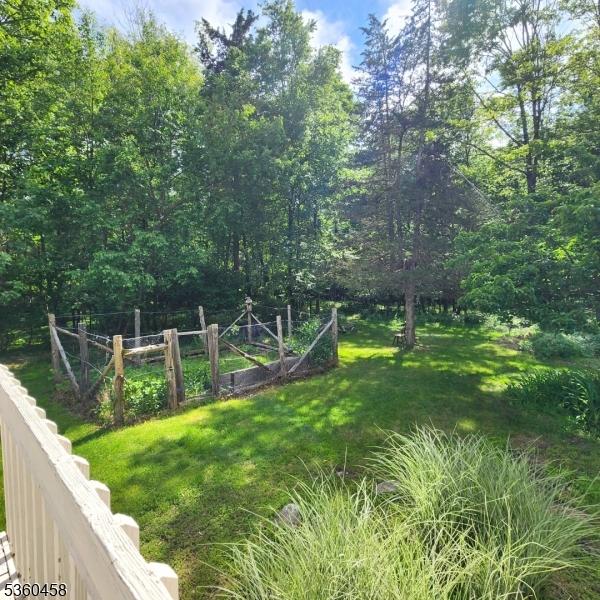 161 Neilson Rd, Wantage Twp, NJ 07461 - view of yard