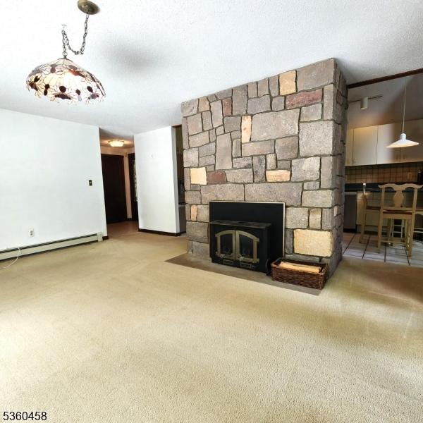 161 Neilson Rd, Wantage Twp, NJ 07461 - unfurnished living room with carpet, baseboard heating, and a stone fireplace