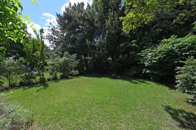 269 Schuyler Ave, Kearny Town, NJ 07032