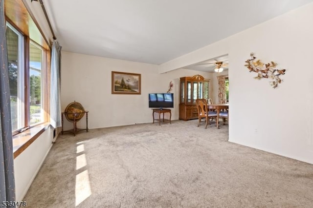 30 Fox Hill Rd, Fairfield Twp, NJ 07004 - living area featuring plenty of natural light, carpet, and ceiling fan