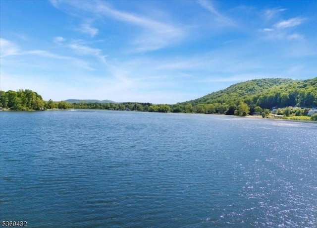 125 Free Union Rd, Liberty Twp, NJ 07823 - water view