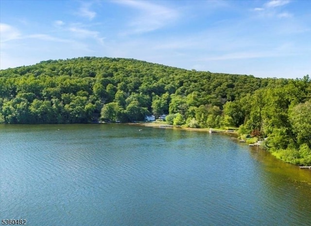125 Free Union Rd, Liberty Twp, NJ 07823 - water view featuring a heavily wooded area