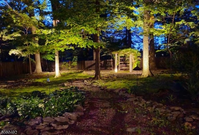 107 Shady Ln, Randolph Twp, NJ 07869 - view of yard