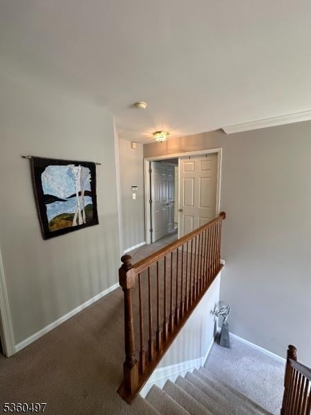 30 Julie Ct, Franklin Twp, NJ 08873 - staircase with carpet floors and baseboards